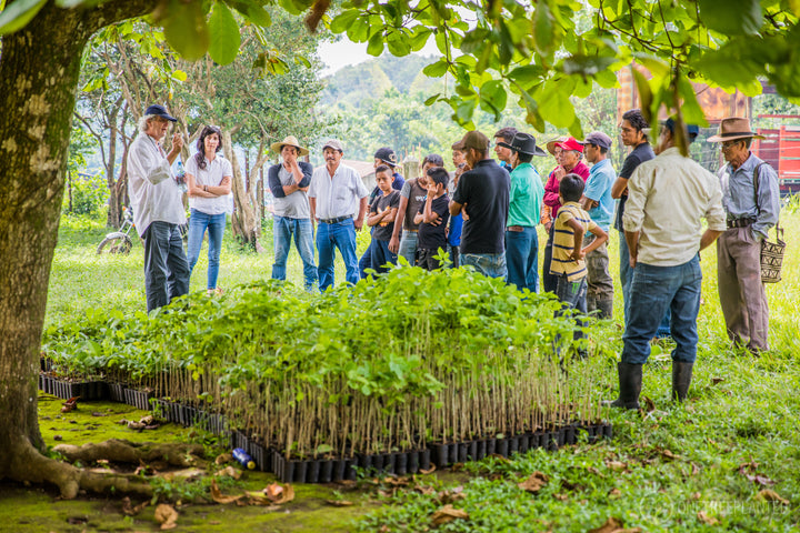 ALKAM x ONE TREE PLANTED